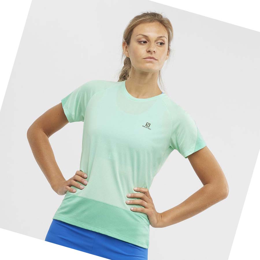 Camiseta Salomon CROSS RUN Mujer Verdes | MX 2541KOR